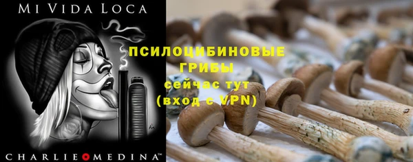 твердый Ростов