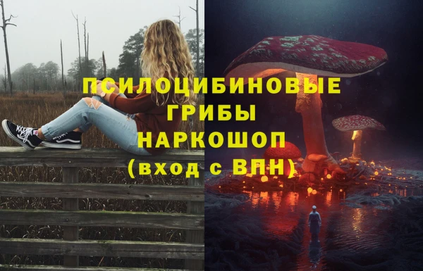 гидра Рославль