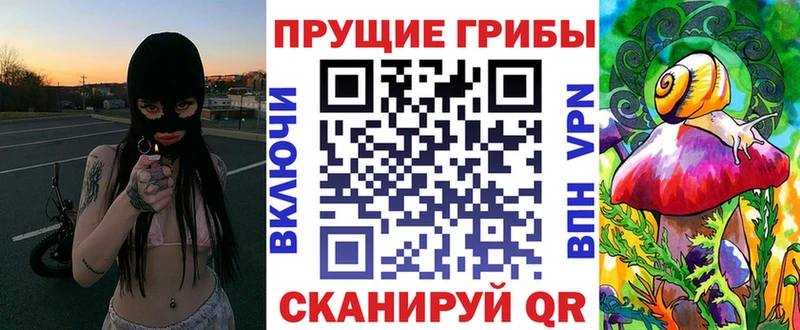 Галлюциногенные грибы мицелий  Туринск 