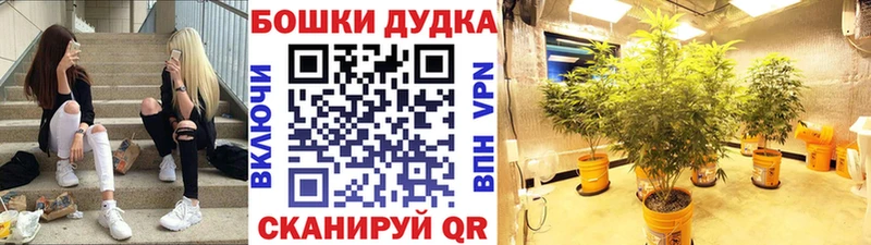 купить наркотики сайты  Туринск  Канабис индика 